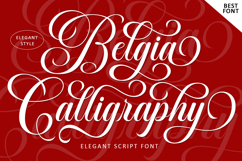 Belgia Calligraphy Product Image 12