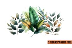 Watercolor Botanical Clipart Sublimation, PNG Product Image 1