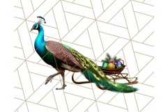 Peacock Christmas Clipart in Jewel Tones, Christmas Png Product Image 5