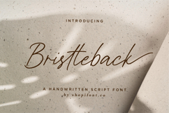 Bristleback Product Image 13