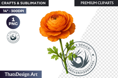 Flower Clipart PNG, Botanical Illustration Floral graphic Product Image 1