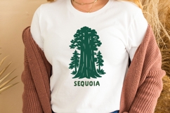 Sequoia National Park SVG | Giant Tree Illustration Product Image 3