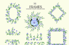 Chicory Plant Watercolor Collection Product Image 4