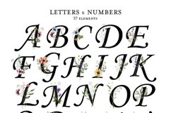 Watercolor Wildflowers Product Image 7