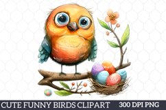 Cute Funny Birds Clipart, Watercolor Clipart Product Image 1