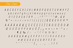 Fox Genius Font Product Image 13