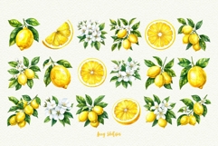 Mediterranean Lemon Watercolor Clipart Product Image 3