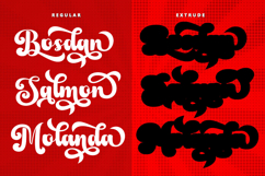 Barbie Vintage - Family Font In 50 Type Product Image 6