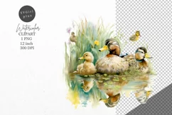 Duck clipart, Birds clipart, Watercolor clipart Product Image 1