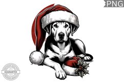 Christmas Dog Clipart - Christmas Sublimation PNG Design Product Image 1
