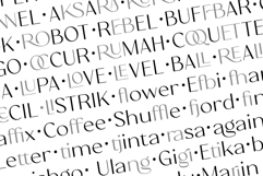Clagio Modern Sans Familiy Product Image 14