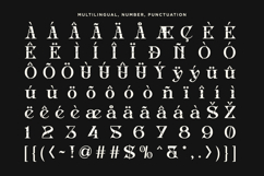 Inword - UNique Display Serif Font Product Image 13