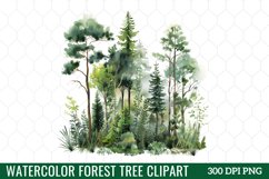 Watercolor Forest Tree Clipart Product Image 1