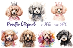 Watercolor Poodle Clipart Set Cute Dog Illustration Bundle Product Image 1