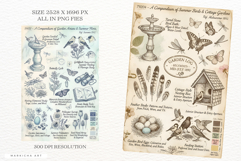 Summer Birds Garden Junk Journal Pages Product Image 3