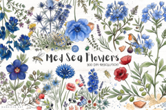Mediterranean Summer Flowers Clipart Product Image 1