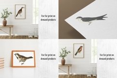 Vintage Birds, Antique Birds Clipart Product Image 13