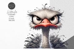 Ostrich clipart, Bird clipart, Funny clipart Product Image 1