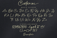 Cintarini Handwritten Font Product Image 13