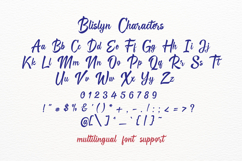Blislyn Product Image 13