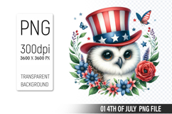 4th of July Owl Clipart PNG, Animal illustration for crafts Product Image 1