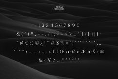 Perfect Strangers I Elegant Serif Product Image 4