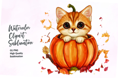 Cute cat inside pumpkin fall watercolor clipart Product Image 1