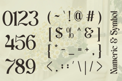 Schales - Aesthetic Ligature Serif Font Product Image 13