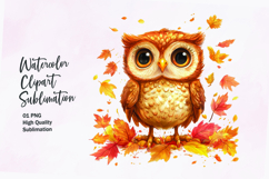 Cute baby owl with autumn leaves watercolor clipart Product Image 1