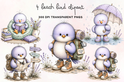 Beach Bird Clipart PNG Product Image 1
