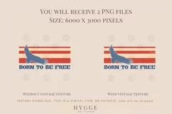 Born to be Free Png Sublimation | Patriotic Eagle PNG Product Image 2