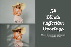 54 Blinds Reflection Overlays Product Image 13