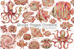 Books Pages Coastal Life Clipart Product Image 1