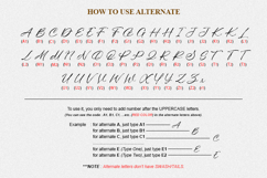 Mint Seira - Charm Handwritten Font Product Image 13
