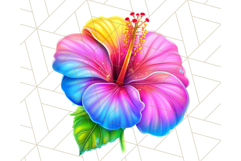 Bright Summer PNG Clipart, Printable Beach Graphics Product Image 5