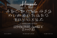 Hiragenda Signature font Product Image 14