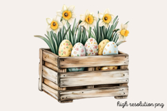 Springtime Daffodils Easter Clipart PNG Product Image 1