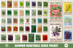 Summer Vegetable Seeds Packet Clipart Product Image 1
