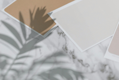 Plant Shadow Backdrops Video Bundle Product Image 13