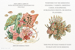 Dreamy Coral Reef Clipart Product Image 2