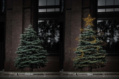 332 Christmas Magic Bundles Product Image 13