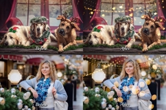 224 Christmas Shine Bundles Product Image 13