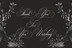 Brilliani Script Pro Product Image 13