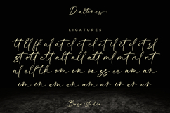 Dialtones Casual Handwritten Font Product Image 13