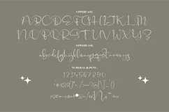 Catalistefa Signature Modern Signature Font Product Image 13