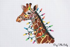 Christmas Giraffes Clipart Bundle PNG Product Image 14
