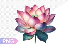 Lotus Sublimation - Clipart PNG Design Product Image 1