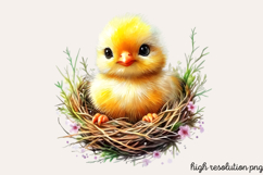 Soft Spring Clipart PNG Product Image 1