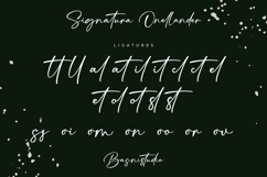 Signatura Onellander a Handwritten Font Product Image 12
