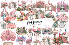 Pink Peacocks Garden Clipart - Set of 29 Png Bundle Product Image 1